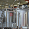 Equipo de elaboración de cerveza comercial automatizado llave en mano 500L para la venta en Irlanda