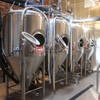1000L Comercial utiliza equipo de elaboración de cerveza de acero inoxidable automáticamente para la venta