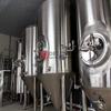 Equipo de fabricación de cerveza de acero inoxidable 2000L Mechine de cervecería de restaurante industrial en venta