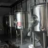 500L fermentador de cerveza bar mini tanque de fermentación de acero inoxidable equipo de elaboración de cerveza en venta