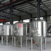 500L, 1000L, 1500L, 2000L Máquina De Fermentación De Cerveza / Alcohol Personalizada Cervecería De Cerveza De Acero Inoxidable En Irlanda