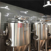 Equipo de elaboración de cerveza artesanal comercial llave en mano 1000L para la venta en Sudáfrica