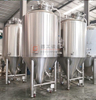 Tanque de fermentación industrial de acero inoxidable 15BBL para la venta