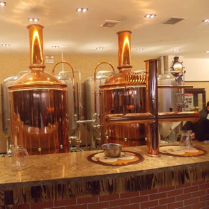 300L Brewpub / restaurant Equipo de microcervecería de cobre usado Equipo de elaboración de cerveza para el hogar completo