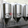 Equipo de elaboración de cerveza micro automático de vapor calentado 500L para brewpub / hotel / restaurant